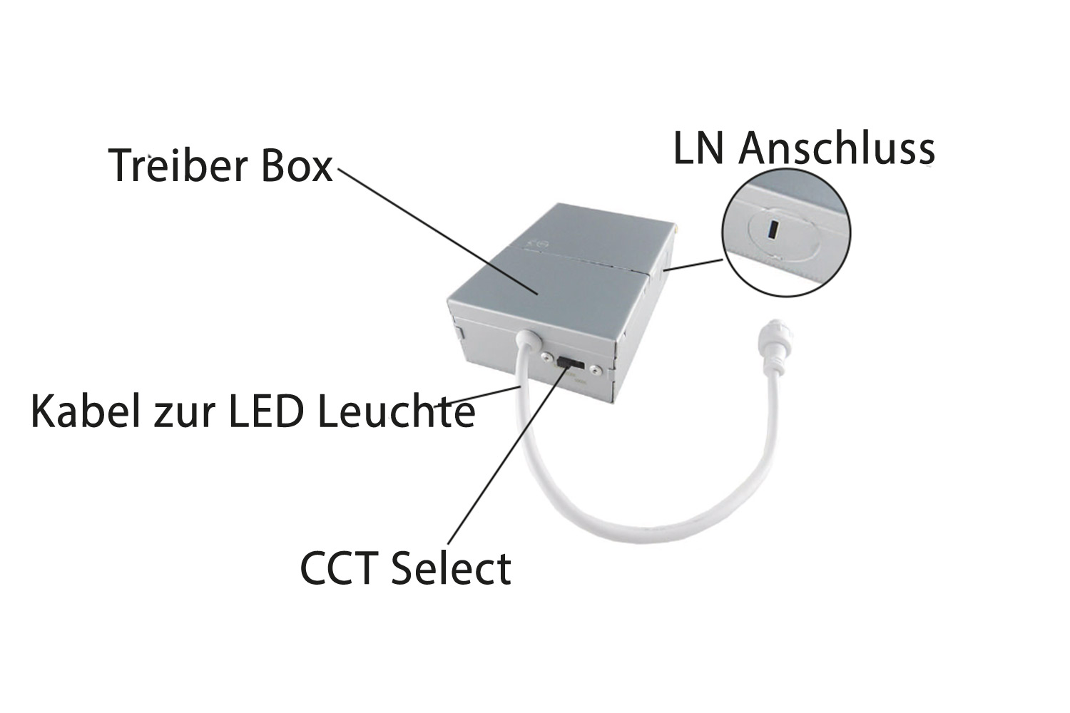 RH-CL0321 – Bild 3